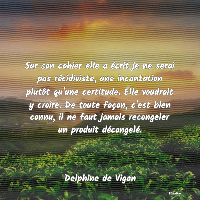 image de citation: Sur son cahier elle a écrit je ne serai pas récidiviste, une incantation plutôt qu'une certitude. Elle voudrait y croire. De toute façon, c'est bien connu, il ne faut jamais recongeler un produit décongelé.