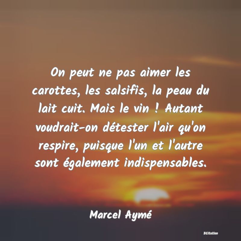 image de citation: On peut ne pas aimer les carottes, les salsifis, la peau du lait cuit. Mais le vin ! Autant voudrait-on détester l'air qu'on respire, puisque l'un et l'autre sont également indispensables.