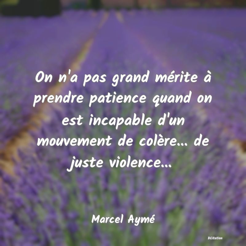 image de citation: On n'a pas grand mérite à prendre patience quand on est incapable d'un mouvement de colère... de juste violence...