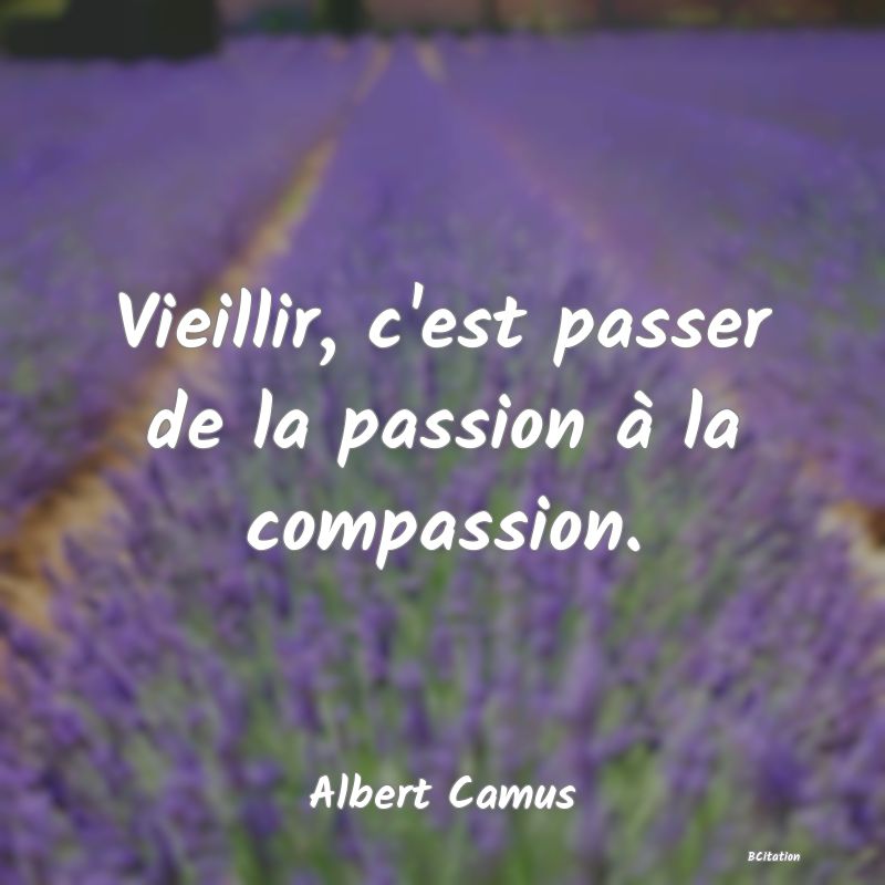 image de citation: Vieillir, c'est passer de la passion à la compassion.