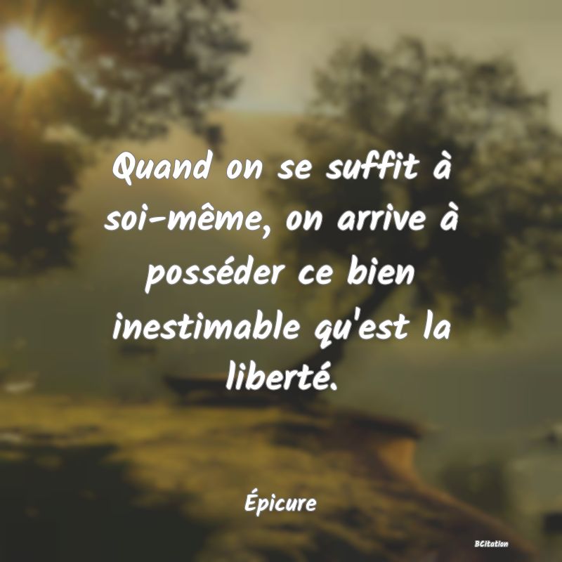 image de citation: Quand on se suffit à soi-même, on arrive à posséder ce bien inestimable qu'est la liberté.