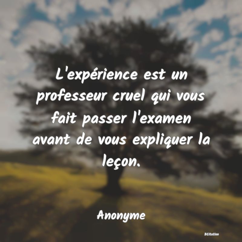 image de citation: L'expérience est un professeur cruel qui vous fait passer l'examen avant de vous expliquer la leçon.