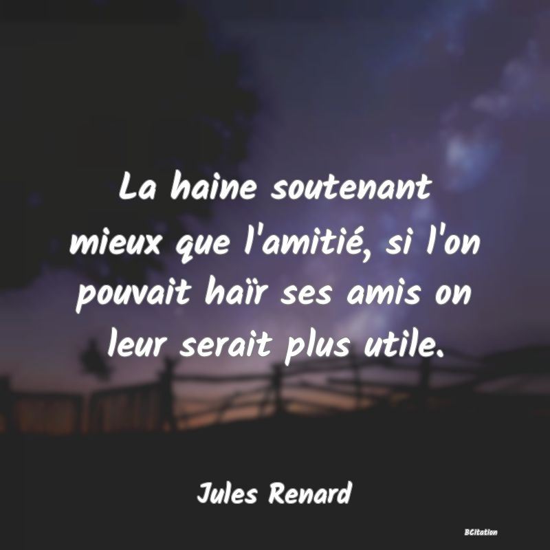 image de citation: La haine soutenant mieux que l'amitié, si l'on pouvait haïr ses amis on leur serait plus utile.