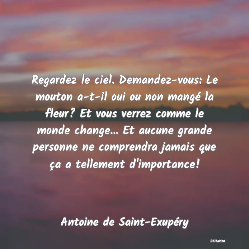 image de citation: Regardez le ciel. Demandez-vous: Le mouton a-t-il oui ou non mangé la fleur? Et vous verrez comme le monde change... Et aucune grande personne ne comprendra jamais que ça a tellement d'importance!