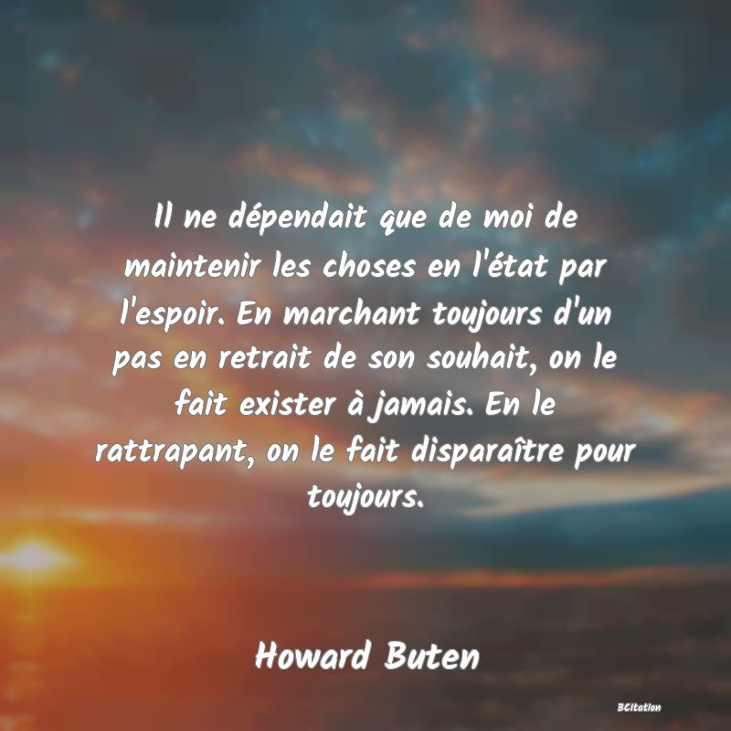 image de citation: Il ne dépendait que de moi de maintenir les choses en l'état par l'espoir. En marchant toujours d'un pas en retrait de son souhait, on le fait exister à jamais. En le rattrapant, on le fait disparaître pour toujours.