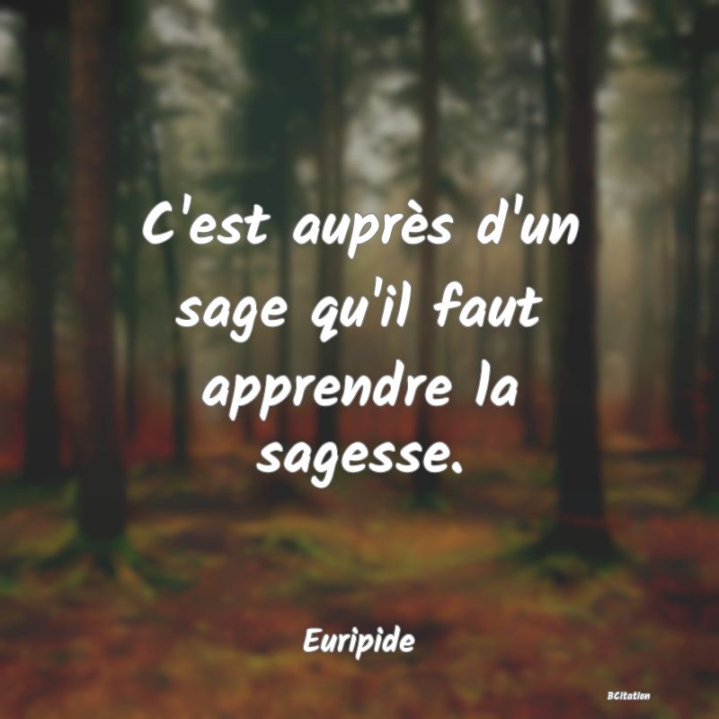 image de citation: C'est auprès d'un sage qu'il faut apprendre la sagesse.