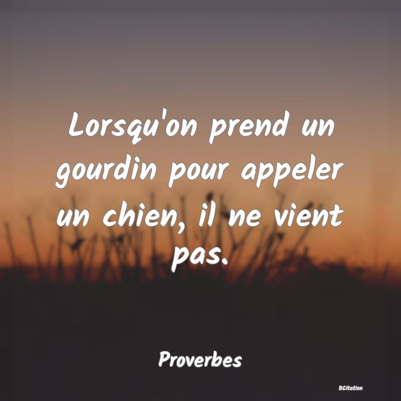 image de citation: Lorsqu'on prend un gourdin pour appeler un chien, il ne vient pas.