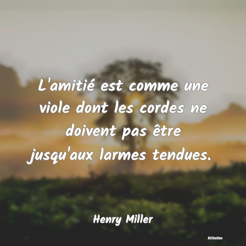 image de citation: L'amitié est comme une viole dont les cordes ne doivent pas être jusqu'aux larmes tendues.