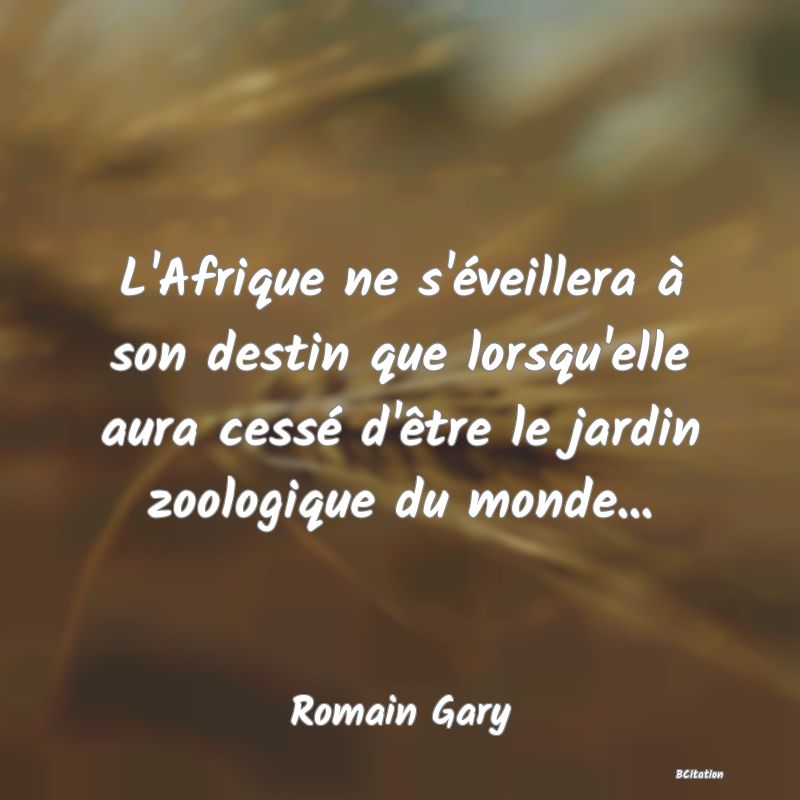 Belle Citation - L'Afrique ne s'éveillera à son destin que lorsqu'elle aura cessé d'être le jardin zoologique du monde... - Romain Gary