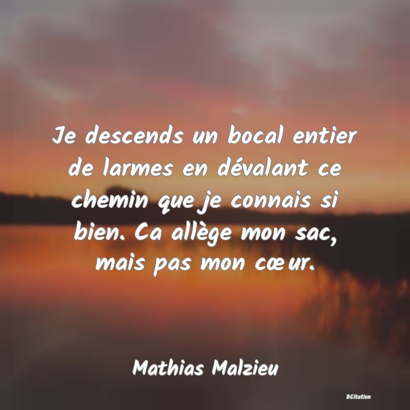 Belle Citation - Je descends un bocal entier de larmes en dévalant ce chemin que je connais si bien. Ca allège mon sac, mais pas mon cœur. - Mathias Malzieu