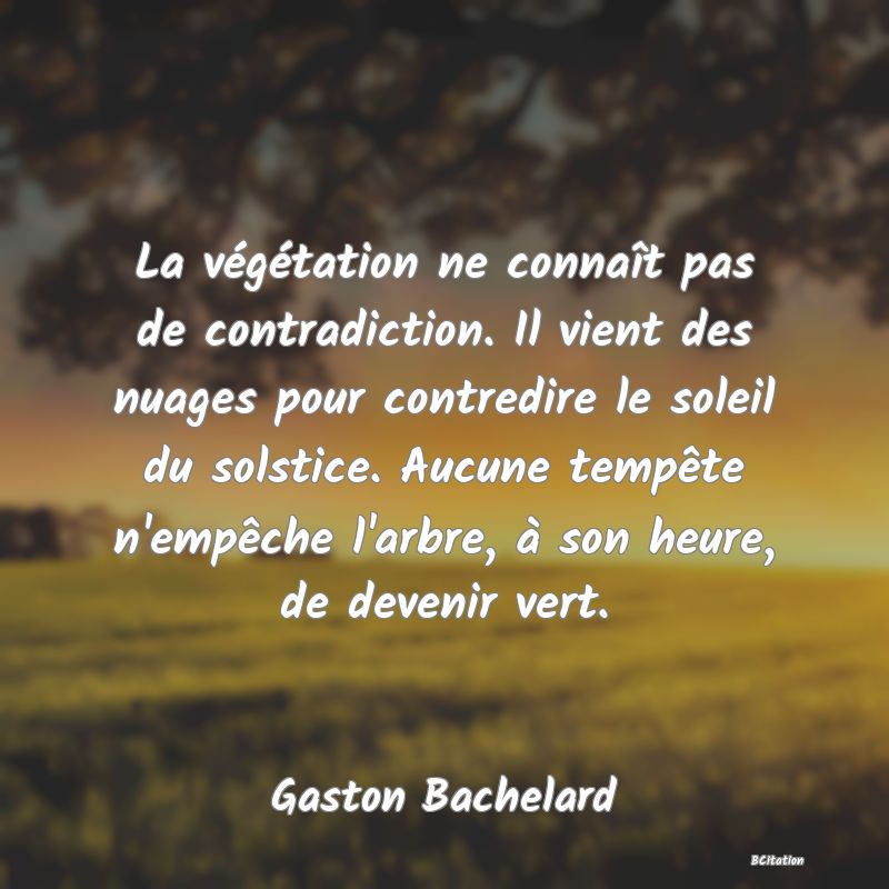 image de citation: La végétation ne connaît pas de contradiction. Il vient des nuages pour contredire le soleil du solstice. Aucune tempête n'empêche l'arbre, à son heure, de devenir vert.