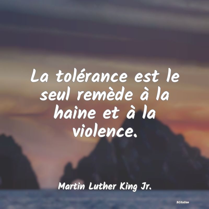 image de citation: La tolérance est le seul remède à la haine et à la violence.