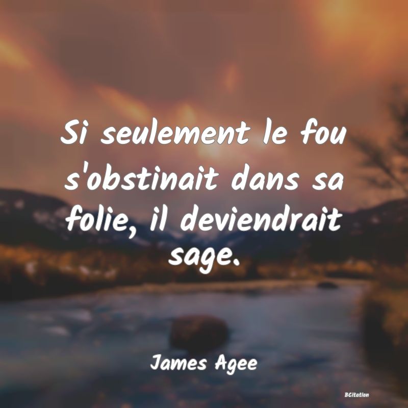 image de citation: Si seulement le fou s'obstinait dans sa folie, il deviendrait sage.