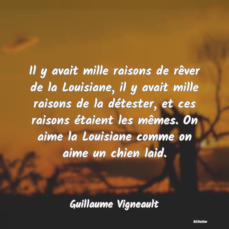 Belle Citation - Il y avait mille raisons de rêver de la Louisiane, il y avait mille raisons de la détester, et ces raisons étaient les mêmes. On aime la Louisiane comme on aime un chien laid. - Guillaume Vigneault