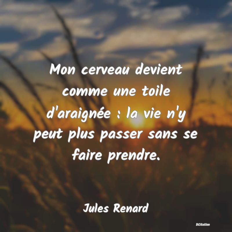 image de citation: Mon cerveau devient comme une toile d'araignée : la vie n'y peut plus passer sans se faire prendre.