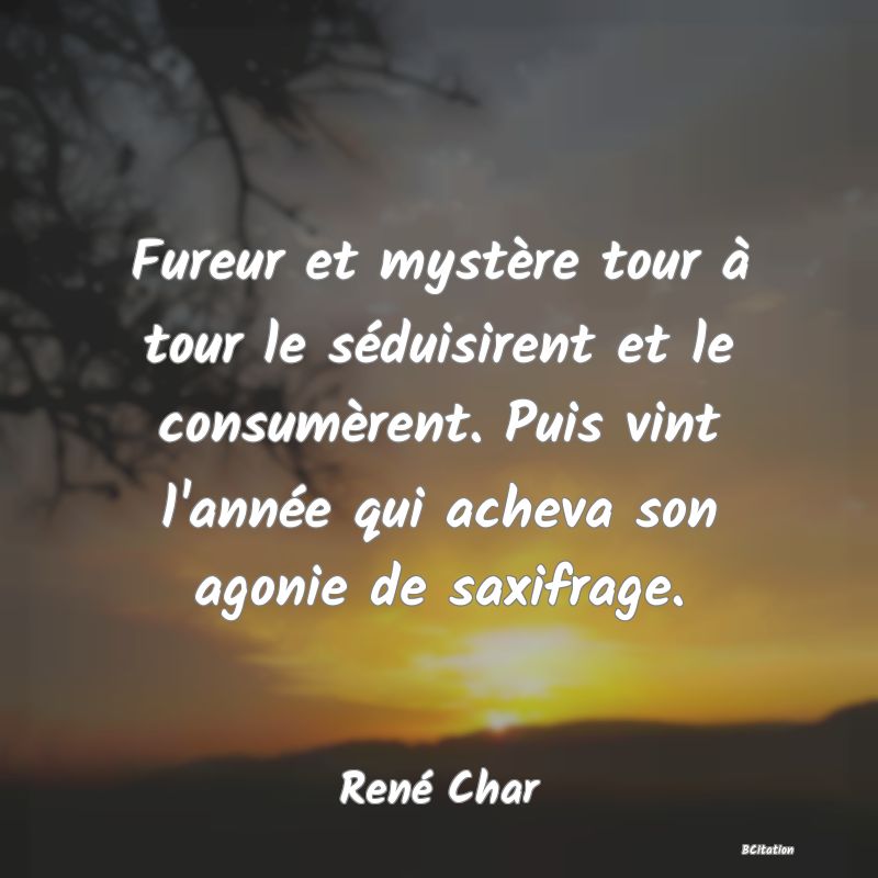 image de citation: Fureur et mystère tour à tour le séduisirent et le consumèrent. Puis vint l'année qui acheva son agonie de saxifrage.