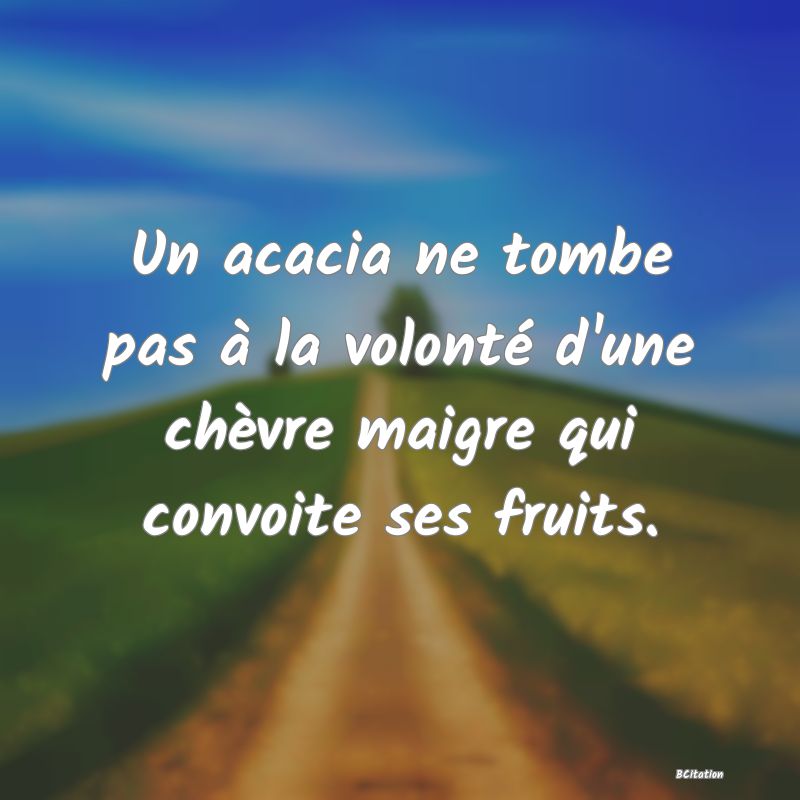 Belle Citation - Un acacia ne tombe pas à la volonté d'une chèvre maigre qui convoite ses fruits. - 