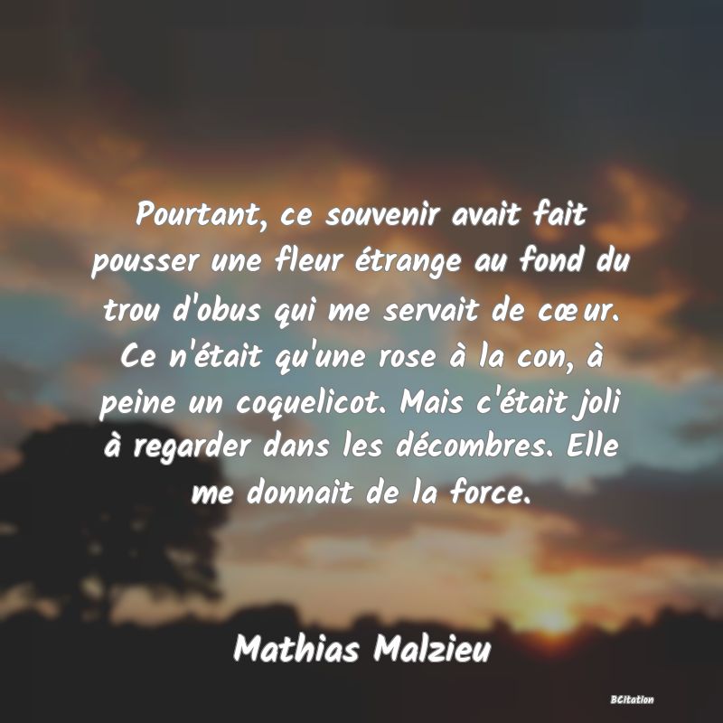 image de citation: Pourtant, ce souvenir avait fait pousser une fleur étrange au fond du trou d'obus qui me servait de cœur. Ce n'était qu'une rose à la con, à peine un coquelicot. Mais c'était joli à regarder dans les décombres. Elle me donnait de la force.