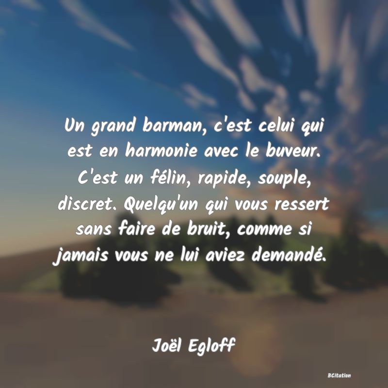 image de citation: Un grand barman, c'est celui qui est en harmonie avec le buveur. C'est un félin, rapide, souple, discret. Quelqu'un qui vous ressert sans faire de bruit, comme si jamais vous ne lui aviez demandé.