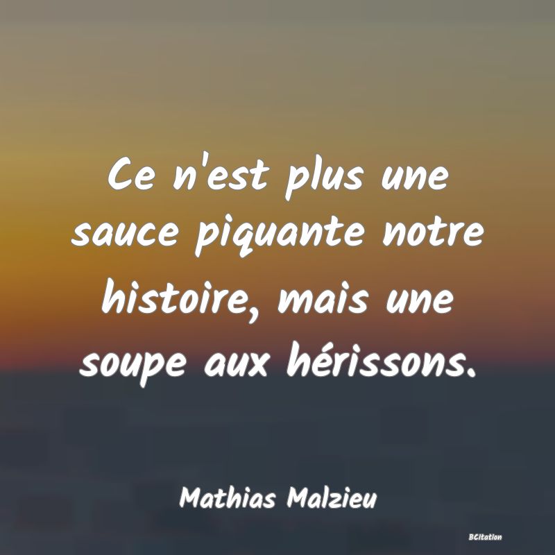 image de citation: Ce n'est plus une sauce piquante notre histoire, mais une soupe aux hérissons.