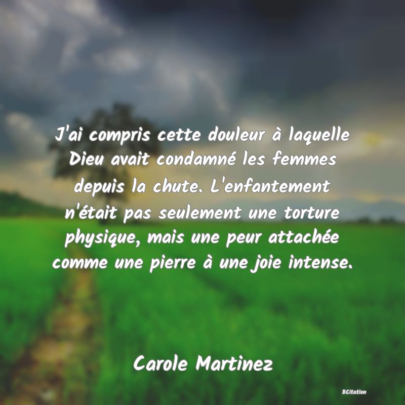 image de citation: J'ai compris cette douleur à laquelle Dieu avait condamné les femmes depuis la chute. L'enfantement n'était pas seulement une torture physique, mais une peur attachée comme une pierre à une joie intense.