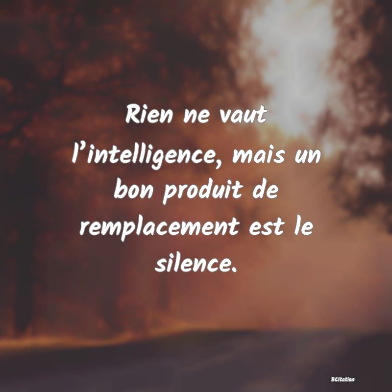 Belle Citation - Rien ne vaut l’intelligence, mais un bon produit de remplacement est le silence. - 