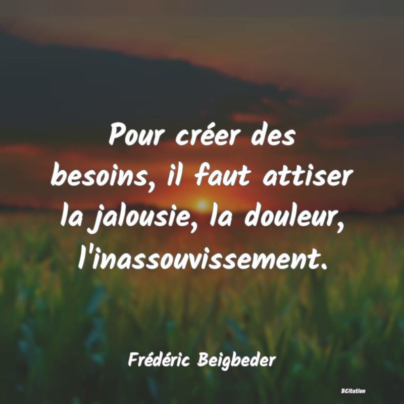 image de citation: Pour créer des besoins, il faut attiser la jalousie, la douleur, l'inassouvissement.