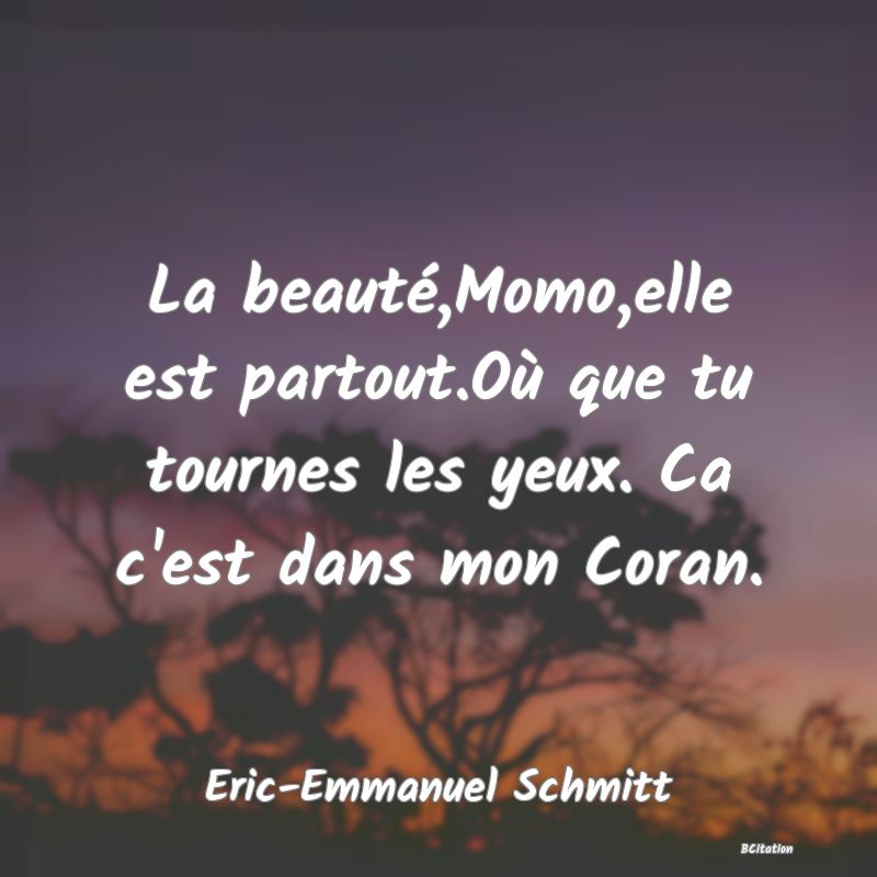 image de citation: La beauté,Momo,elle est partout.Où que tu tournes les yeux. Ca c'est dans mon Coran.