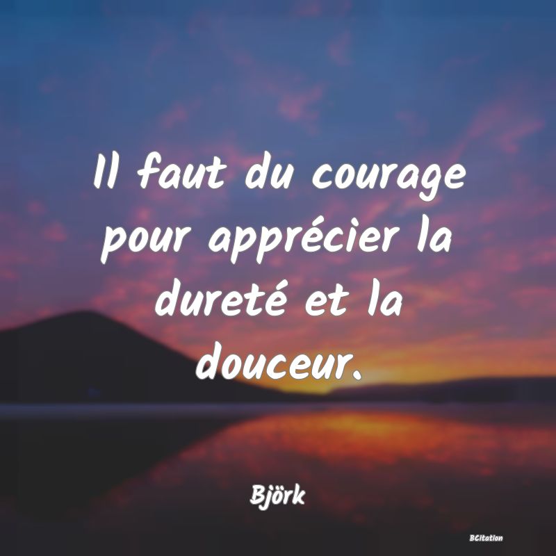 Belle Citation - Il faut du courage pour apprécier la dureté et la douceur. - Björk