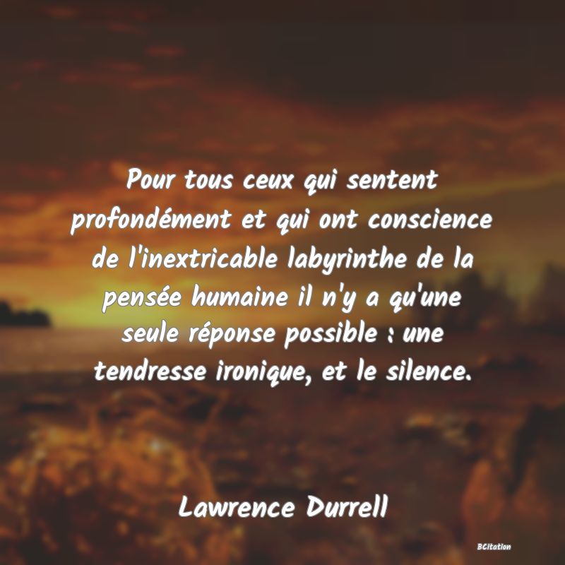 image de citation: Pour tous ceux qui sentent profondément et qui ont conscience de l'inextricable labyrinthe de la pensée humaine il n'y a qu'une seule réponse possible : une tendresse ironique, et le silence.