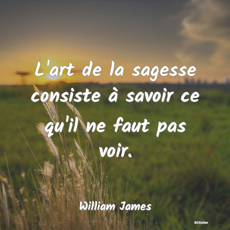 Belle Citation - L'art de la sagesse consiste à savoir ce qu'il ne faut pas voir. - William James