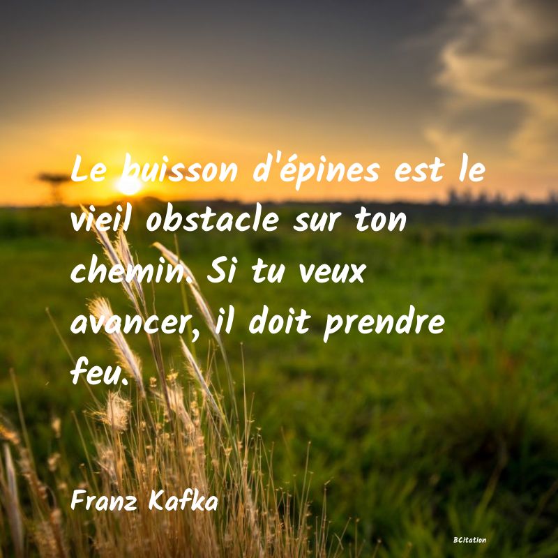 image de citation: Le buisson d'épines est le vieil obstacle sur ton chemin. Si tu veux avancer, il doit prendre feu.