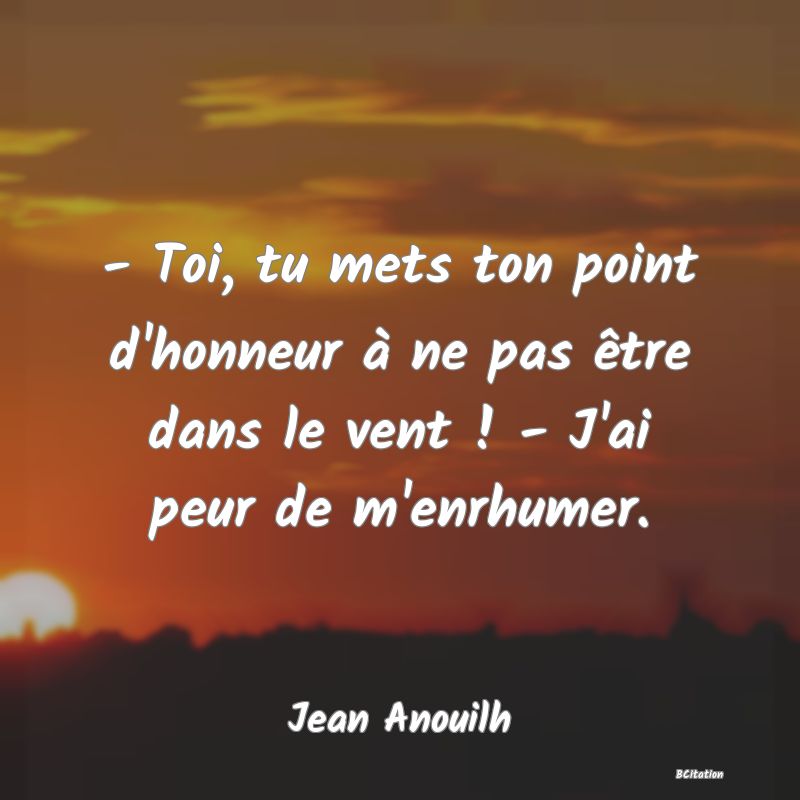 image de citation: - Toi, tu mets ton point d'honneur à ne pas être dans le vent ! - J'ai peur de m'enrhumer.