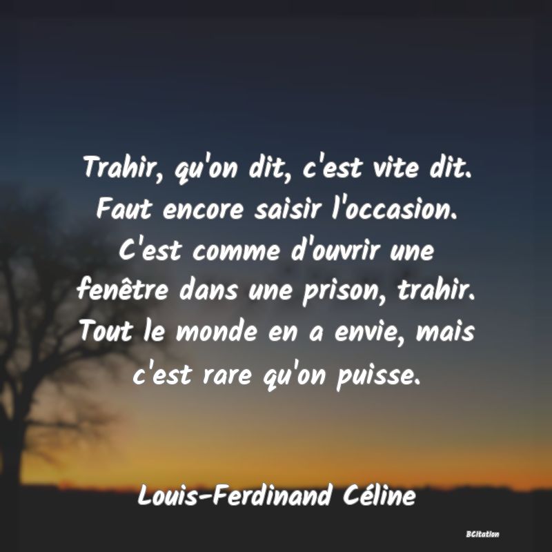Belle Citation - Trahir, qu'on dit, c'est vite dit. Faut encore saisir l'occasion. C'est comme d'ouvrir une fenêtre dans une prison, trahir. Tout le monde en a envie, mais c'est rare qu'on puisse. - Louis-Ferdinand Céline