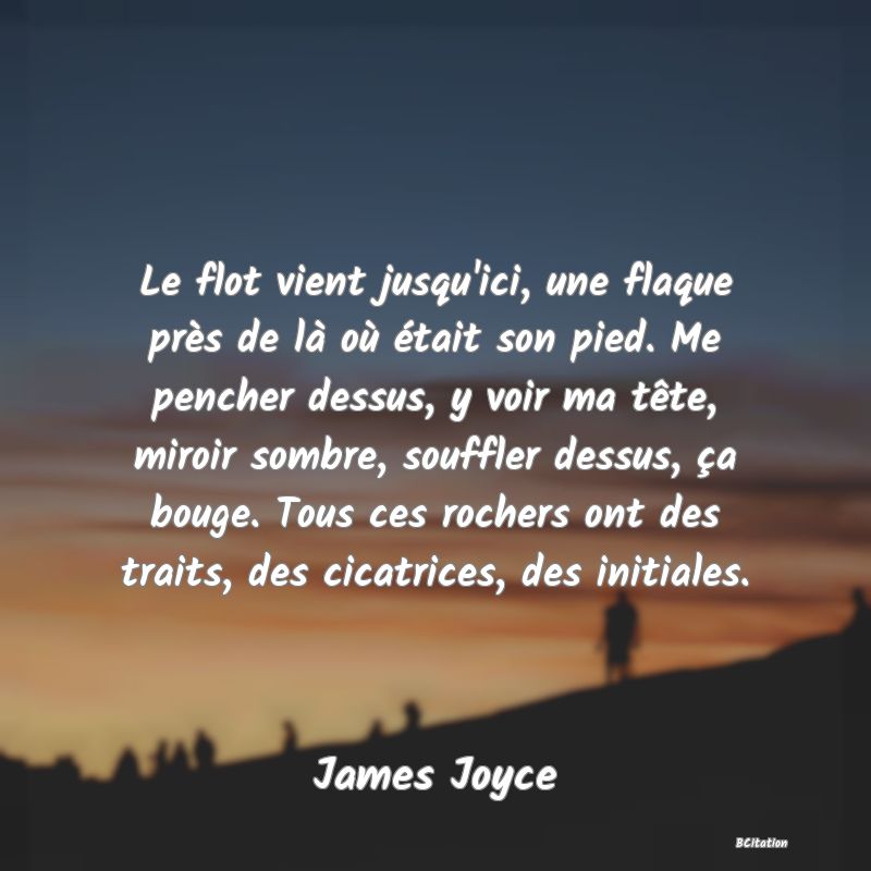 Belle Citation - Le flot vient jusqu'ici, une flaque près de là où était son pied. Me pencher dessus, y voir ma tête, miroir sombre, souffler dessus, ça bouge. Tous ces rochers ont des traits, des cicatrices, des initiales. - James Joyce