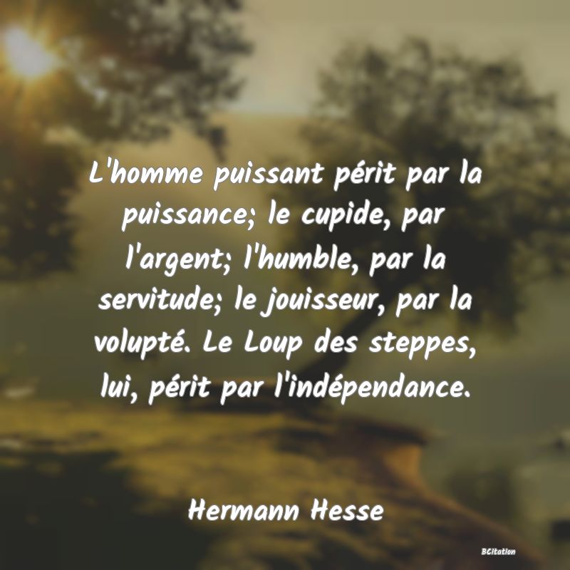 image de citation: L'homme puissant périt par la puissance; le cupide, par l'argent; l'humble, par la servitude; le jouisseur, par la volupté. Le Loup des steppes, lui, périt par l'indépendance.