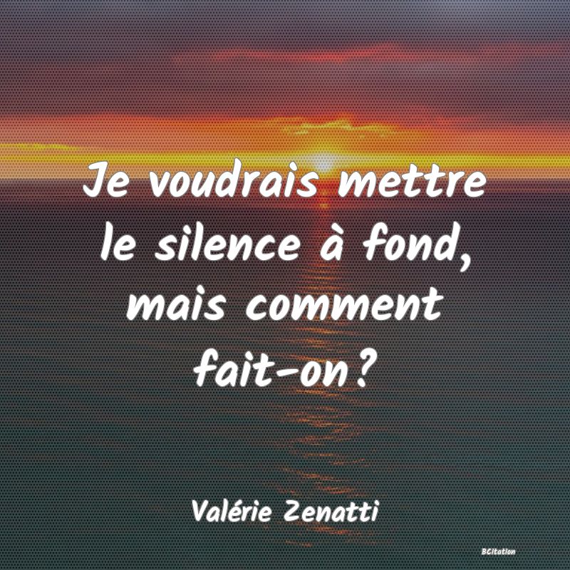 image de citation: Je voudrais mettre le silence à fond, mais comment fait-on?