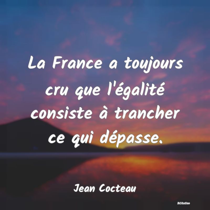 image de citation: La France a toujours cru que l'égalité consiste à trancher ce qui dépasse.