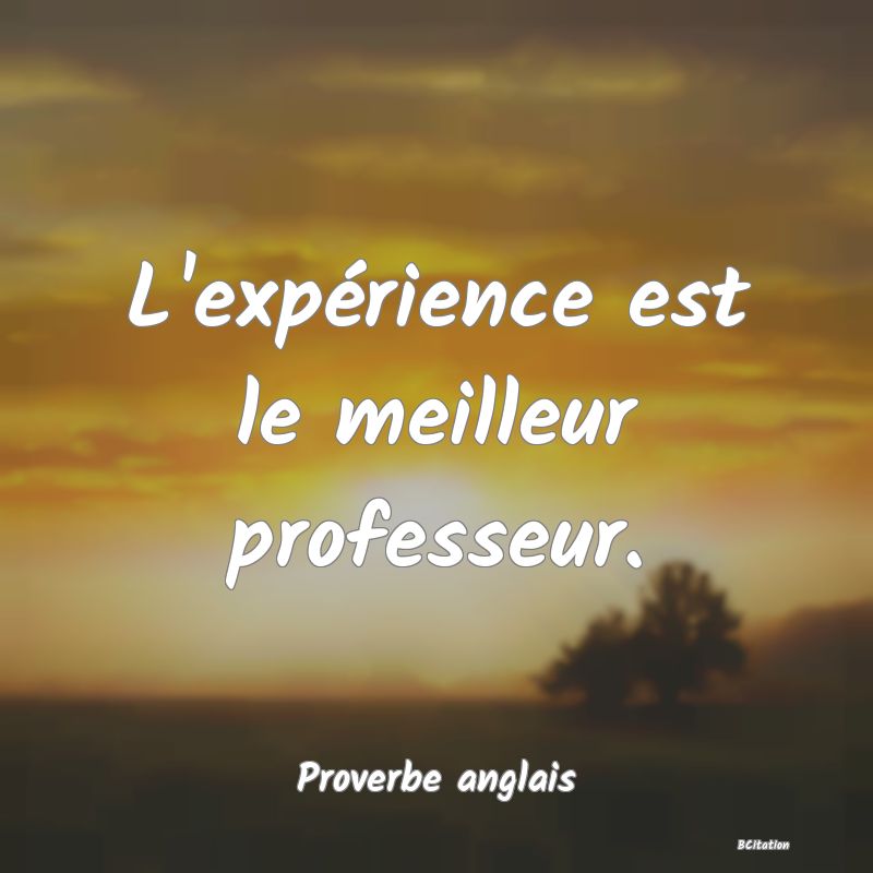 image de citation: L'expérience est le meilleur professeur.