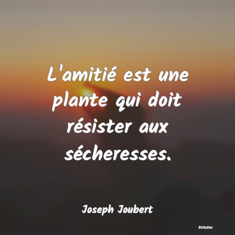 image de citation: L'amitié est une plante qui doit résister aux sécheresses.