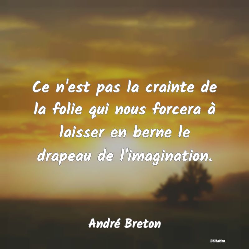 image de citation: Ce n'est pas la crainte de la folie qui nous forcera à laisser en berne le drapeau de l'imagination.