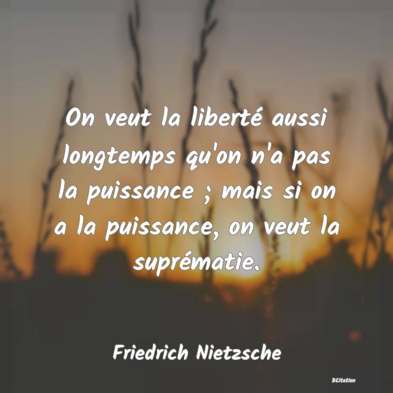 image de citation: On veut la liberté aussi longtemps qu'on n'a pas la puissance ; mais si on a la puissance, on veut la suprématie.