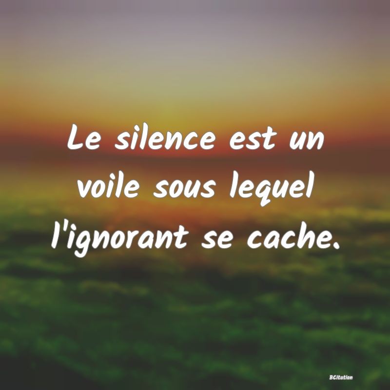 image de citation: Le silence est un voile sous lequel l'ignorant se cache.