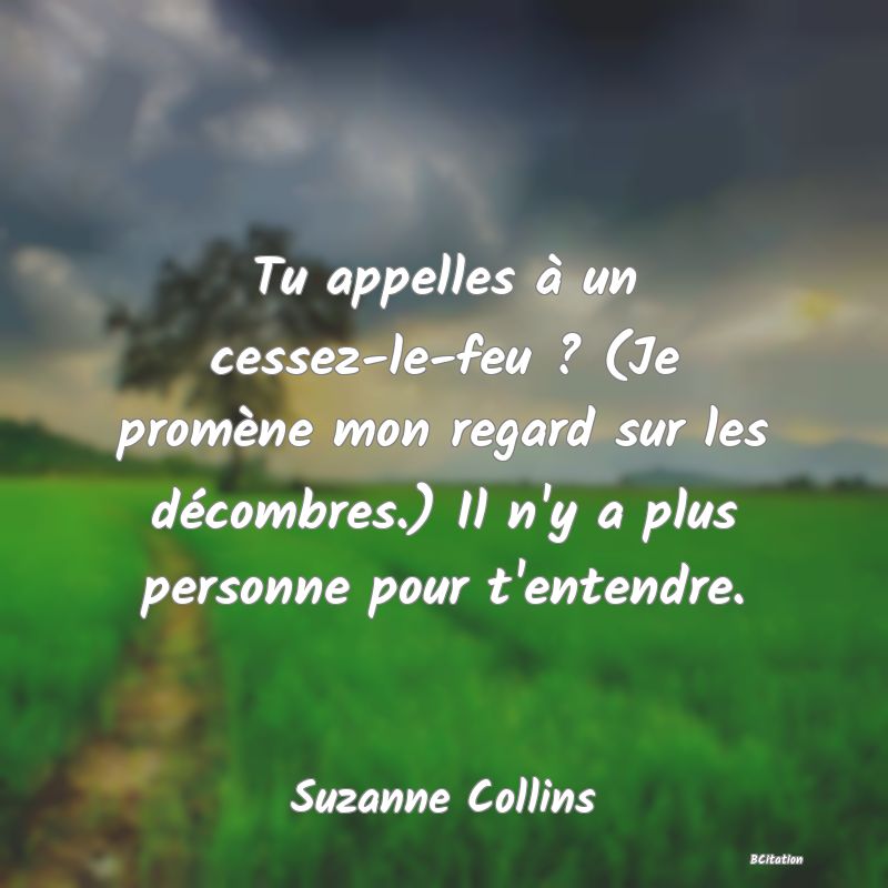 image de citation: Tu appelles à un cessez-le-feu ? (Je promène mon regard sur les décombres.) Il n'y a plus personne pour t'entendre.