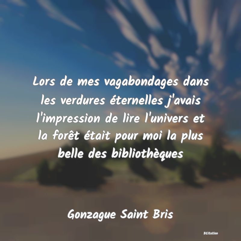 image de citation: Lors de mes vagabondages dans les verdures éternelles j'avais l'impression de lire l'univers et la forêt était pour moi la plus belle des bibliothèques