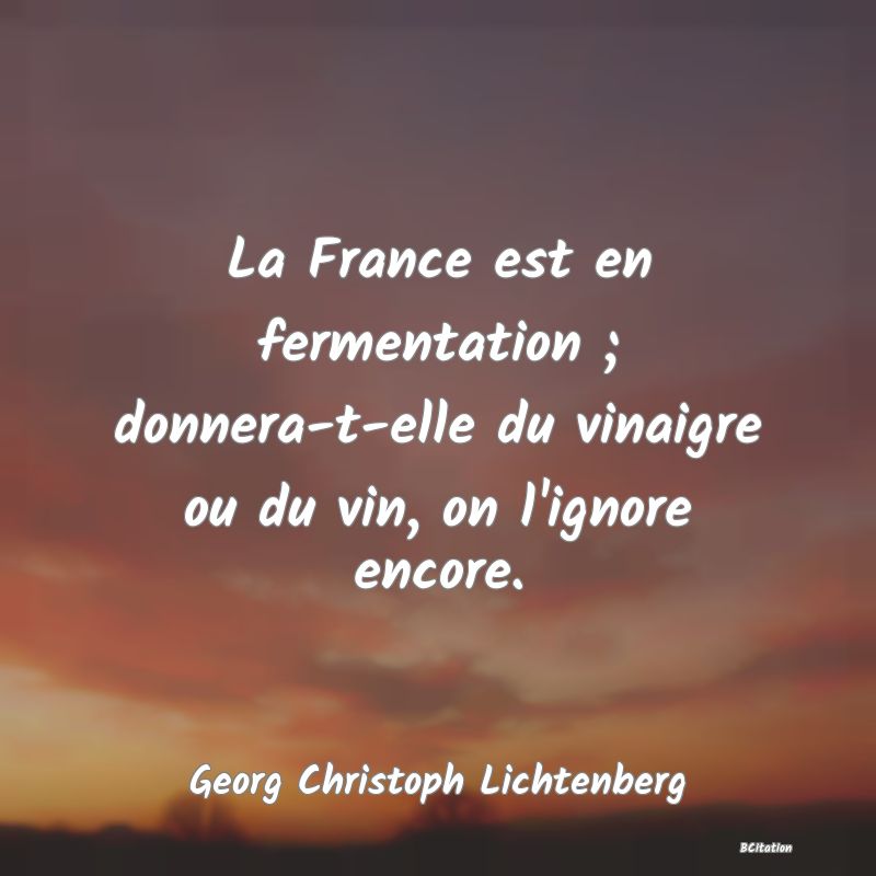 image de citation: La France est en fermentation ; donnera-t-elle du vinaigre ou du vin, on l'ignore encore.