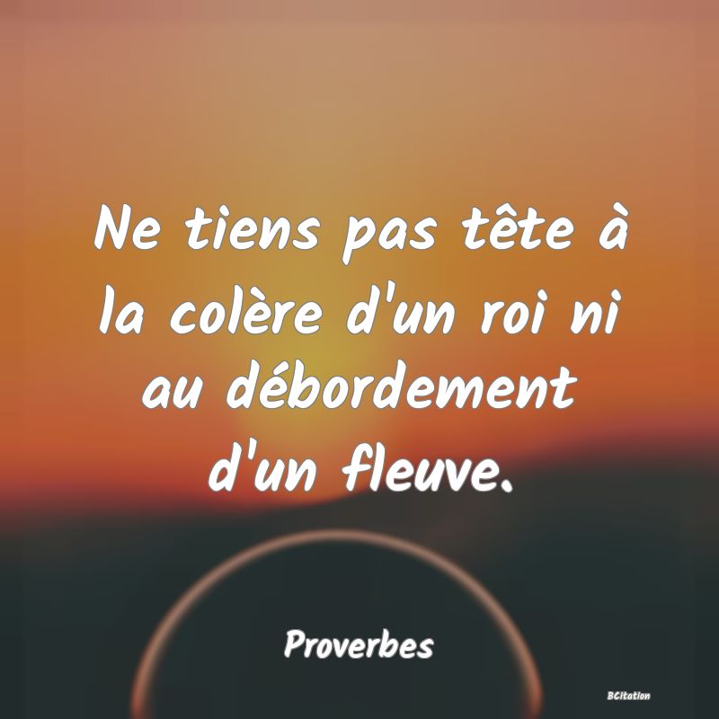 image de citation: Ne tiens pas tête à la colère d'un roi ni au débordement d'un fleuve.