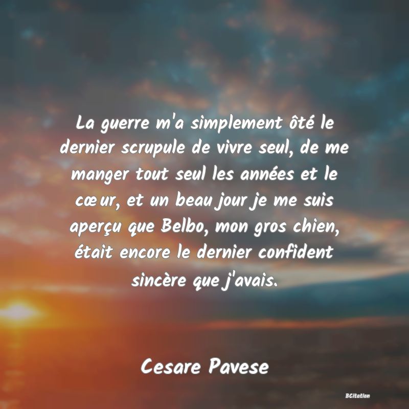 image de citation: La guerre m'a simplement ôté le dernier scrupule de vivre seul, de me manger tout seul les années et le cœur, et un beau jour je me suis aperçu que Belbo, mon gros chien, était encore le dernier confident sincère que j'avais.