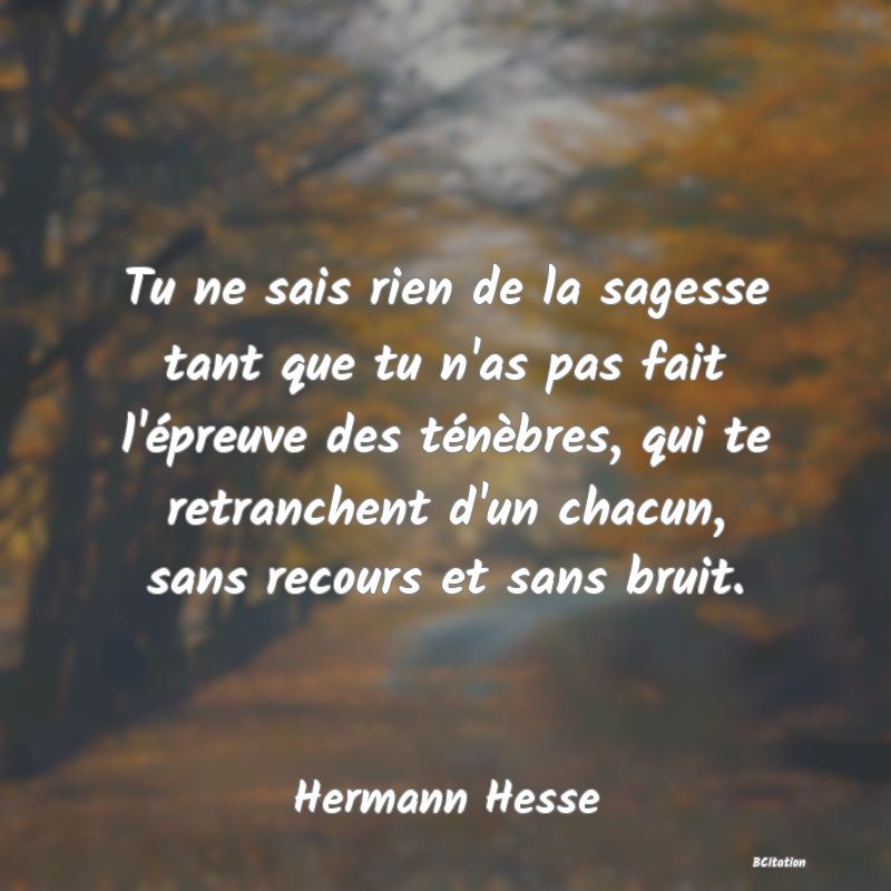 image de citation: Tu ne sais rien de la sagesse tant que tu n'as pas fait l'épreuve des ténèbres, qui te retranchent d'un chacun, sans recours et sans bruit.