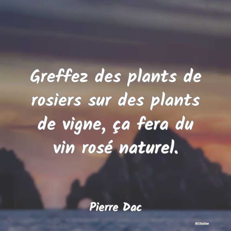 image de citation: Greffez des plants de rosiers sur des plants de vigne, ça fera du vin rosé naturel.